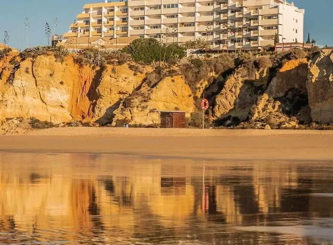 托雷达罗沙公寓 公寓 *